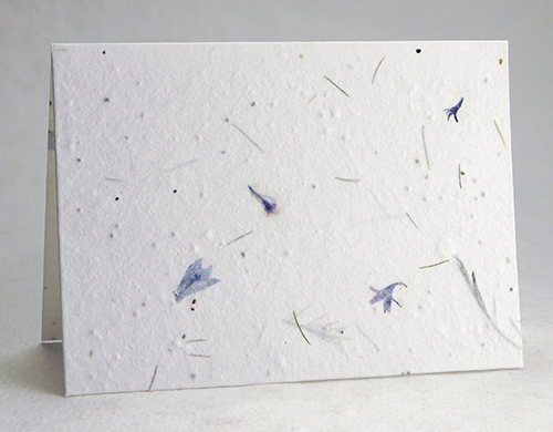 cotton paper with real flowers and seeds