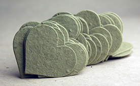 14s seed paper hearts