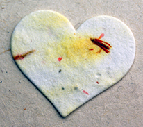 #7s seed paper hearts